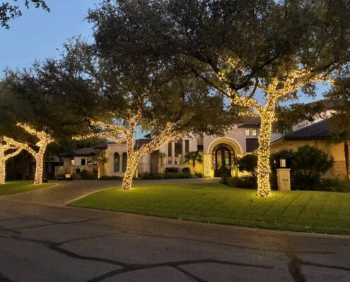 Row of live oak trees wrapped in warm white lights along a curved driveway