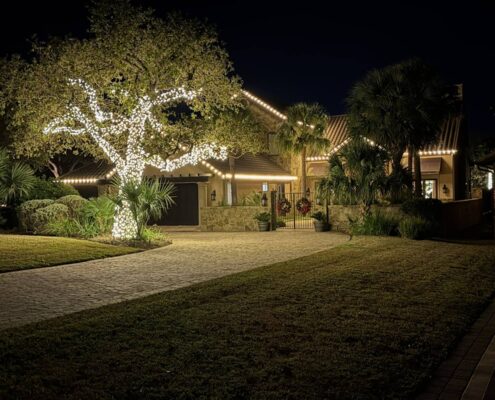 Live oak wrapped in white lights among palms with roofline lighting behind